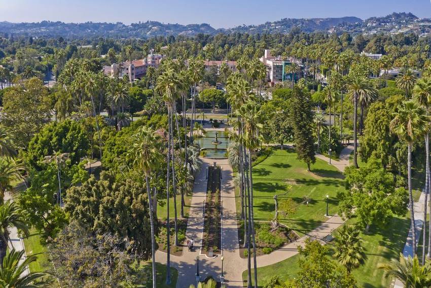Beverly Gardens Park and the palms of Beverly Hills