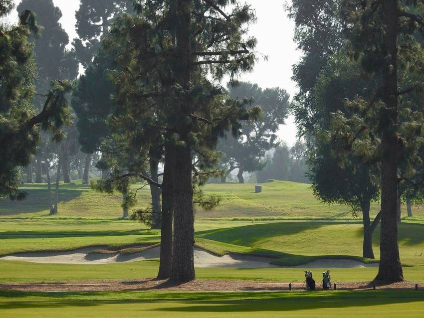 Fairway under mature pines at the country club