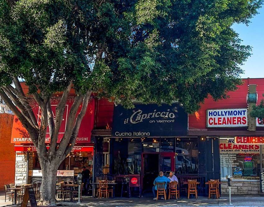 Sidewalk tables under the ficus on Vermont Avenue