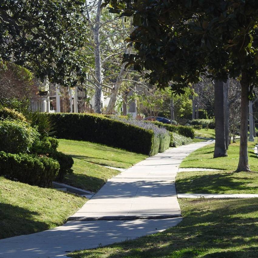 Tree lined residential street