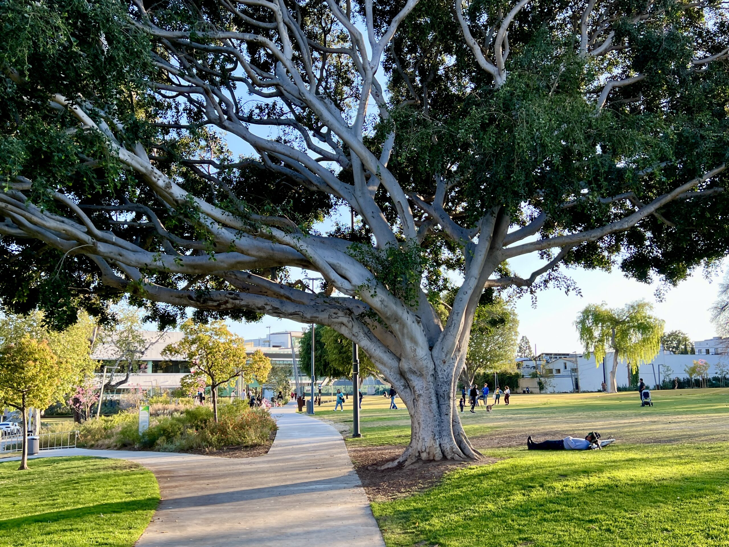 West Hollywood Park